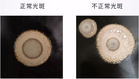 圖文詳解萬瓦激光切割機工作前檢測事項