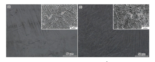 圖1 SLM態及HT態Ti6I4V合金的顯微組織