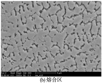 圖11 SiC陶瓷熔覆層的橫截面顯微組織組織