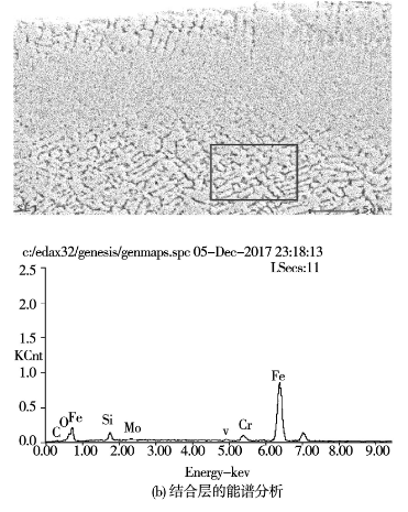 圖12 熔覆層的能譜分析結果