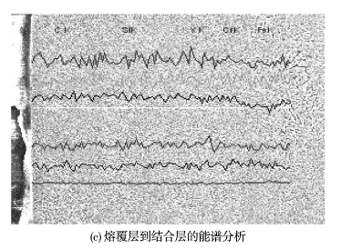 圖12 熔覆層的能譜分析結果