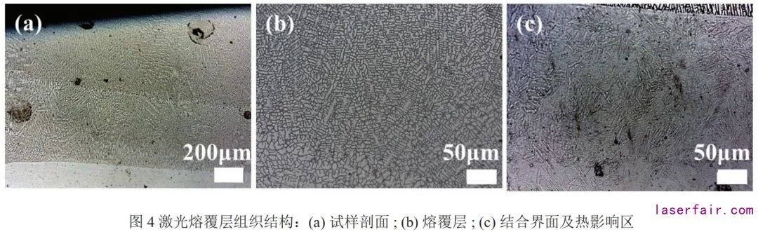 激光熔覆層組織結構