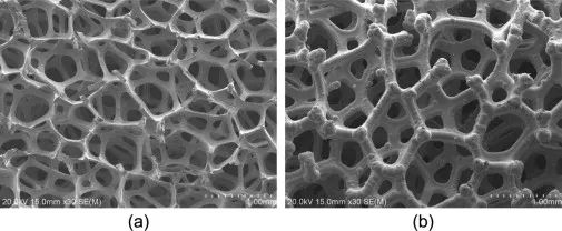 金屬沉積工藝制備的不同厚度泡沫鎳樣品的SEM圖像:(a)鎳層較薄;(b)較厚的鎳層